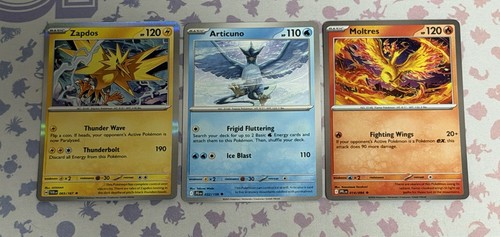 Legendary birds 3 pokemon - birds,