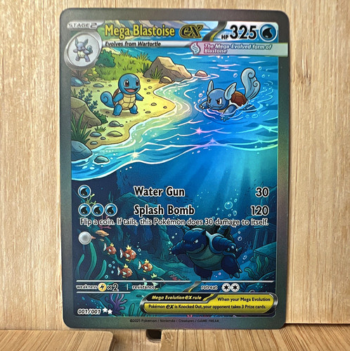 Squirtle wartortle blastoise - squirtle,,